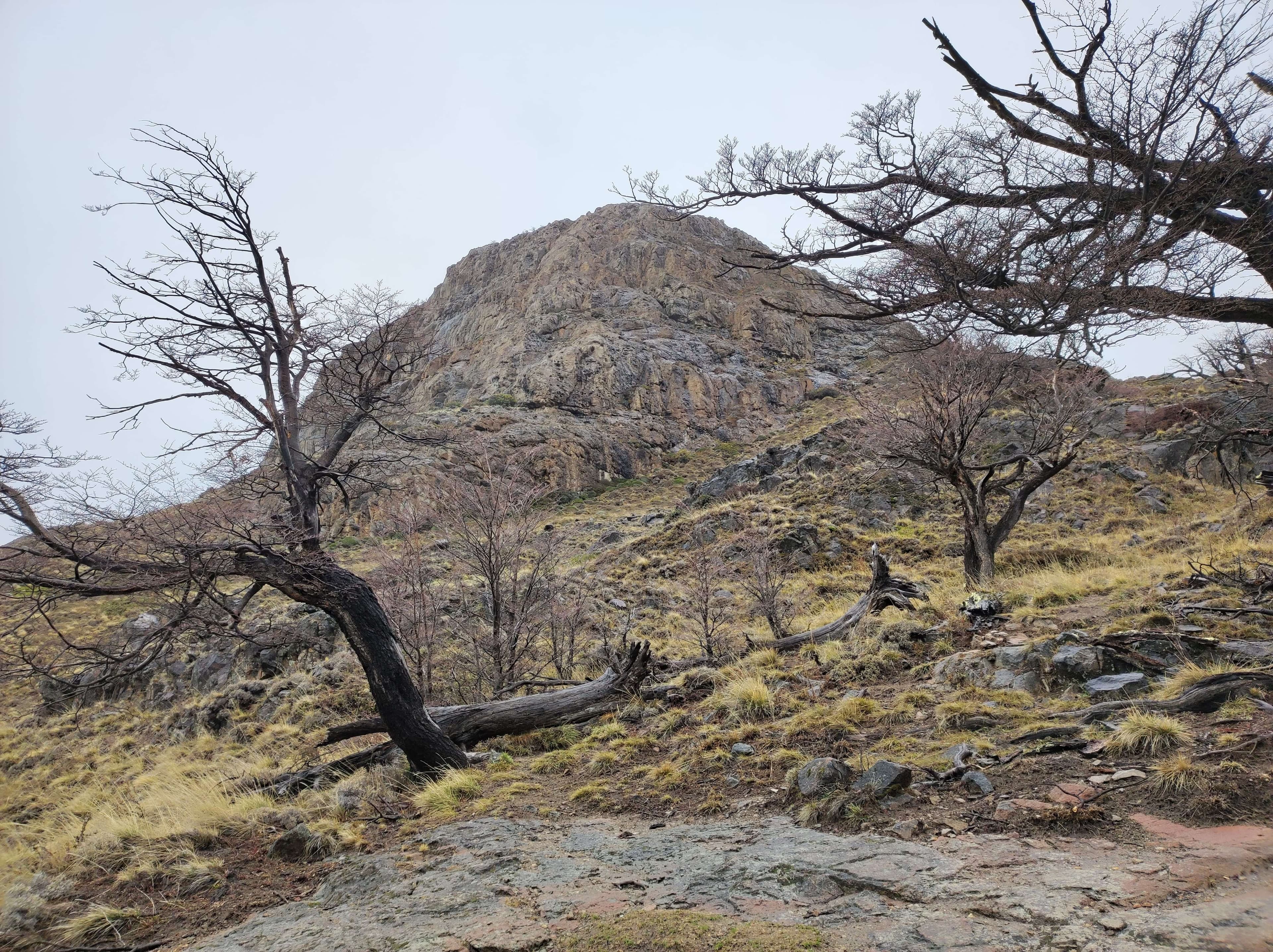 MiradorDeLaTorre